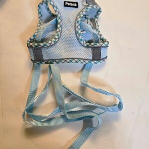 Light Blue Dog Harness
